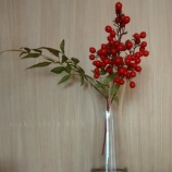 『お金を使わない12月』の画像