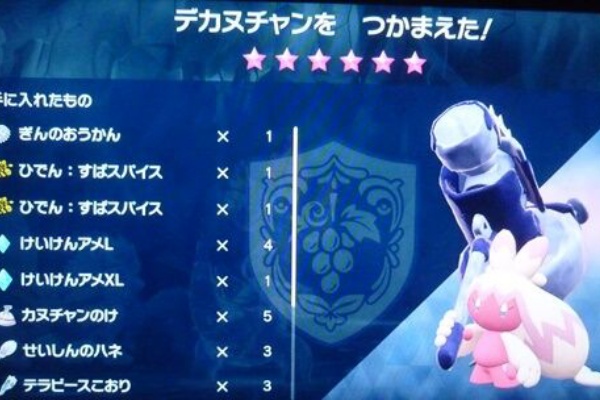 デカヌチャン 6 ソロ攻略 ポケモンsv アニ雑