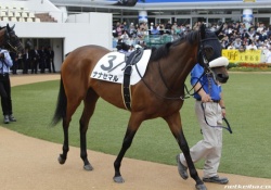 【衝撃】競馬界にも「乃木坂46」旋風が吹き荒れてるってマジ⁈
