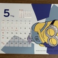 5月