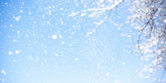 北海道出身の自分の周りでは雪が降っても傘をささない。関東に来たらみんな雪が降ったら傘をさしててびっくりした