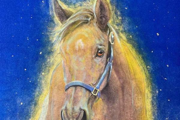 斉藤いつみ作品集 馬の絵