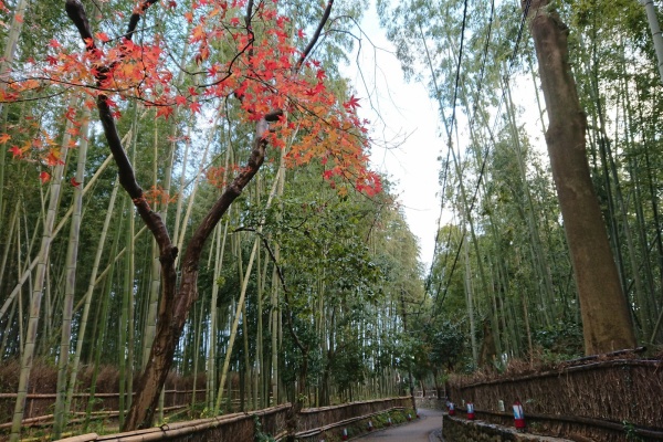 なんとなく旅ブログ Exこだまグリーン早得