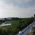 今日は7月5日…　笑