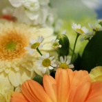 湘南凸凹柴WAN日記