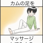 カムホーム kamuhome