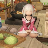 『【FF14】Xのゲーム垢からブログ作成の趣味垢を分離しましたヾ(〃^∇^)ﾉ　カッティングボード』の画像