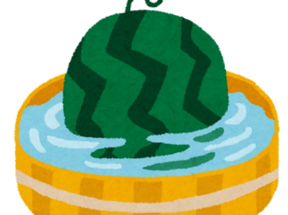 【画像】胸にとんでもないスイカを持ったJD女子、発見されてしまう