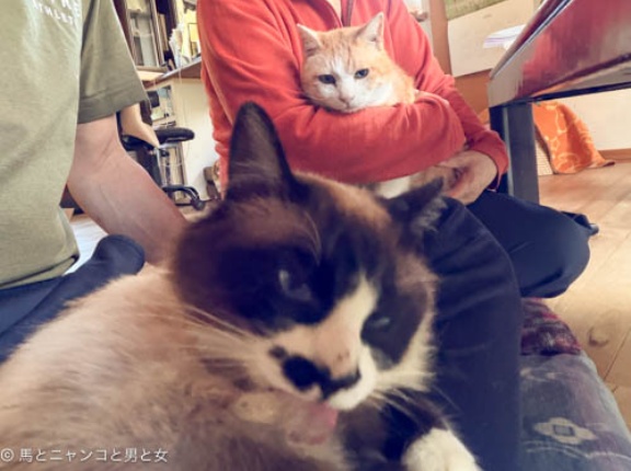 なんで？
