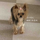 失敗…からの大満足