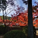 うまく行くように