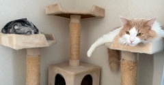 メルちゃん、何を見ているの？何が見えたの？