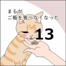 まるがご飯を食べなくなった13