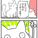 軽率に賛同するか？