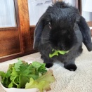 おかげの『幸せ』。