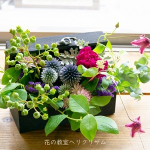 Piantaの花 大阪市天王寺区にある花の教室 ヘリクリサム