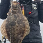 新潟県　寝屋漁港　功晴丸　第八功晴丸　潜りの眼