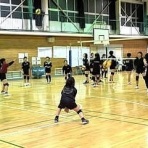 シーガル・バレーボールスクールのblog