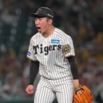 一緒に阪神タイガースを応援しよう！
