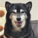「この知育玩具は一体いつ使うのかしら!?」