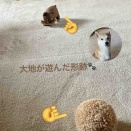 大地も元気です🐕