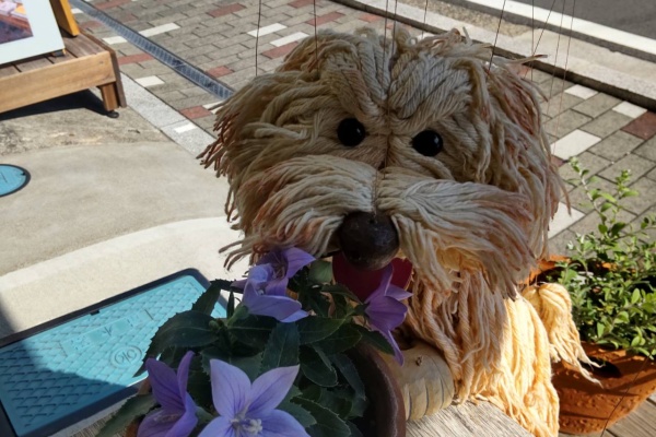 モフィー　マリオネット モップ犬マリオネット ♪ モフィーと仲間たち