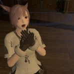 全てのヒカセンたちへ