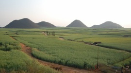 【中国】 乾電池や薬物を野菜の肥料に使用、市民の間で不安が広まる
