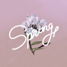 新型出生前診断に対する考え方