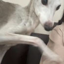 うわっ面倒臭ぇ！　①