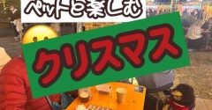 ペットと楽しむクリスマス