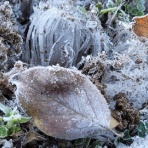 学びは遊び、遊びは学び　～和泉学習研究所公式ブログ～