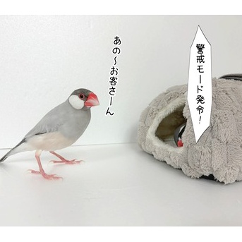 怪しい業者がやって来た！