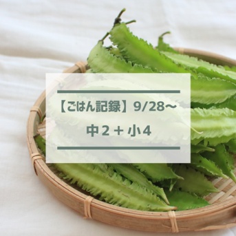 娘に好評だった四角豆の食べ方とセブンのゴンチャ【ごはん記録9/28～】