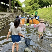 岐阜小学校ＰＴＡ「鮎つかみ体験」