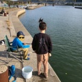 12月のスケジュール