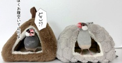 改めてどっちの別荘か再確認した