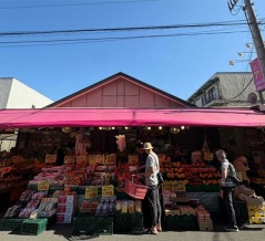 パドロンにカリフローレに土佐甘とう。かの有名なアキダイに初めて行ってみたけど、これは楽しい。