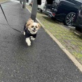 愛犬と一緒にレイクタウンアウトレット。*\(^o^)/*