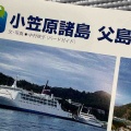 【お報せ】月刊BIRDER離島特集担当しました
