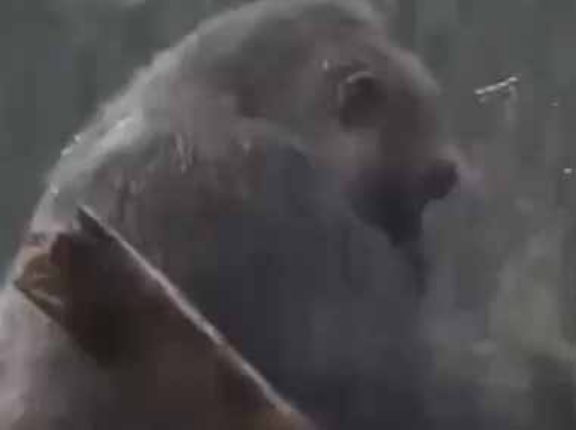 旦那がちょっかいを出してくる。ちょっと触んないで！ → 夫婦喧嘩の後はこうなります…