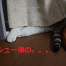 そっと