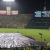 【野球】荒天時「30分を待つことなく試合を打ち切ることができる」と追記　来季からの公認野球規則