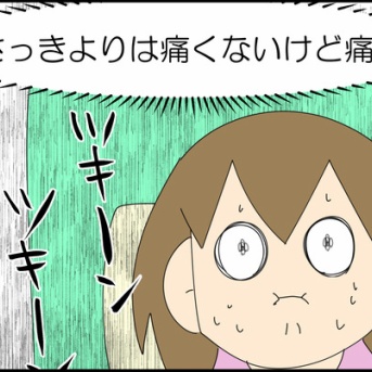ポリープさん、どこですか②