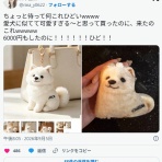 まとめたニュース