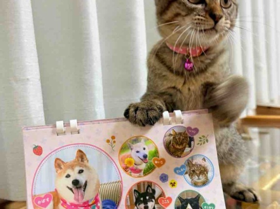 2027年もかぼちゃんと一緒に♡ カレンダー発売のお知らせ