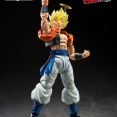 【ドラゴンボール】S.H.Figuarts超ゴジータがニューヨークコミコンのみ限定発売されると知って日本のファンが大激怒！！！