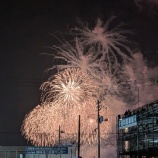 『花火』の画像
