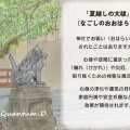 夏越しの大祓！７月にもやってるよ！