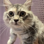 神奈川県 ワンラブ アウトレット平塚店のスタッフブログ